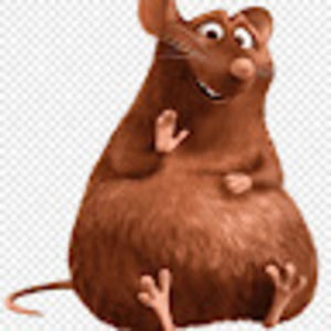 Meet your Posher, Gray